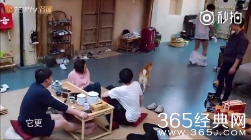 向往的生活2刘宪华裤子掉了是哪一期播出时间