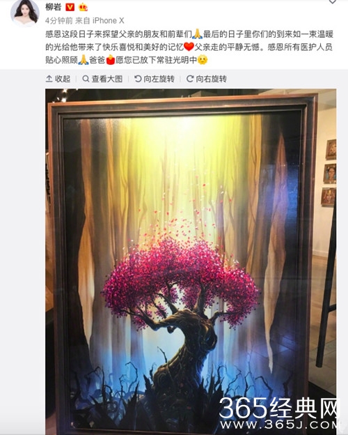 柳岩发文悼念爸爸去世，配图有寓意