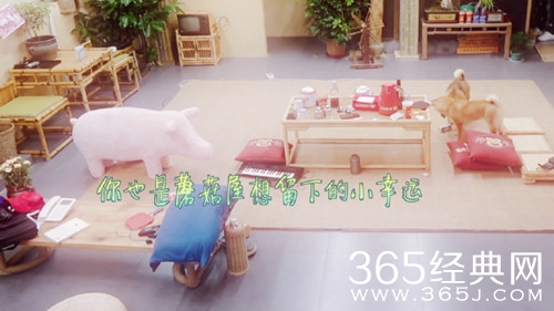 向往的生活2第5期王珞丹带来的粉猪在哪买的 购买链接多少钱