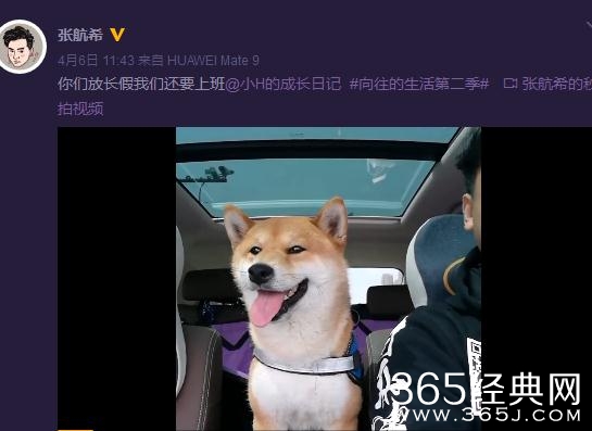 向往的生活2小H和小O是同一个主人吗 谁养的