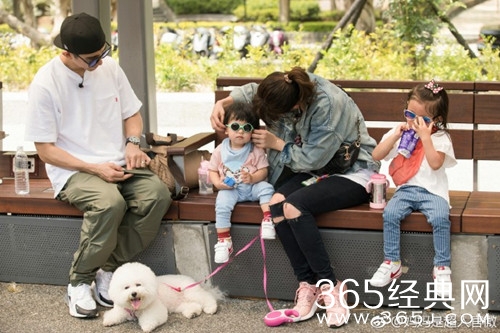 妈妈是超人第三季结束了吗 一共有多少期