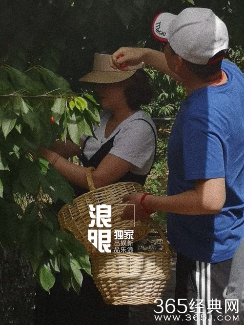 偶遇蒋勤勤和陈建斌夫妇，十分恩爱