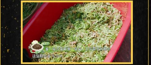 向往的生活2第9期腌梅菜干是怎么做的 做法步骤简介