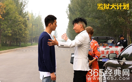 【赏影猎人】第二十三期：监狱犬计划，爱狗人士都应该看看