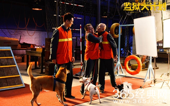 【赏影猎人】第二十三期：监狱犬计划，爱狗人士都应该看看