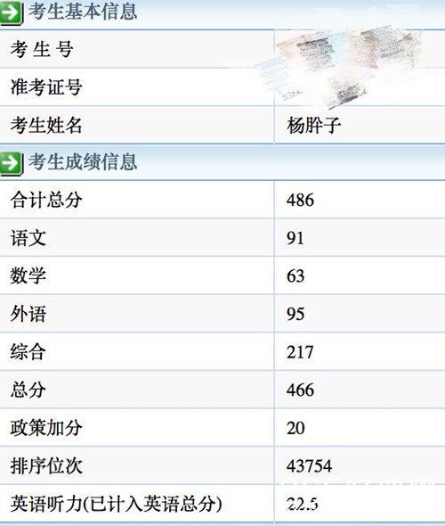 杨肸子晒高考成绩，网友：数学是硬伤