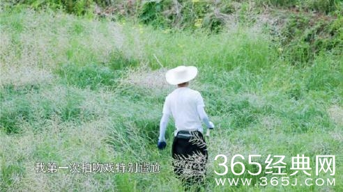 向往的生活2何炅自曝第一次拍吻戏的电视剧是什么