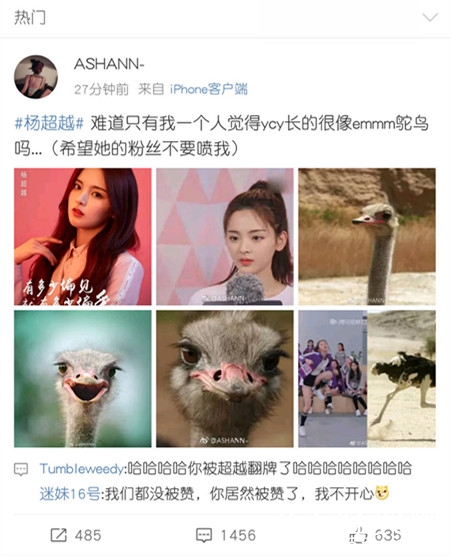 杨超越鸵鸟什么意思 杨超越鸵鸟什么梗