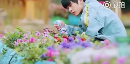 【综艺甜饼】第157期：刘涛夫妇、王菲都喜欢千玺，千玺有这么优秀？