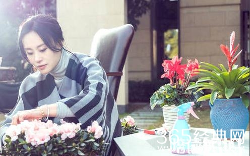 陪读妈妈胡媛媛结局是什么离婚了吗