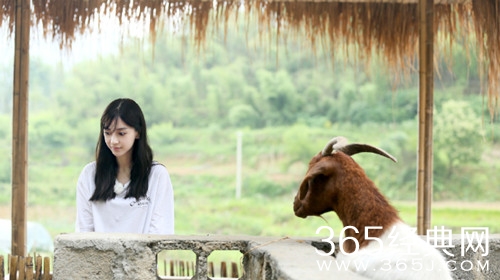 向往的生活第2季到底收官了没有？