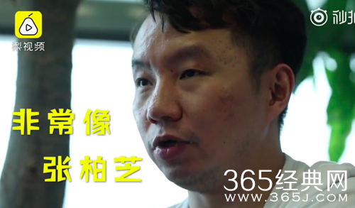 杨超越老板称她像张柏芝 并大赞她360度无死角
