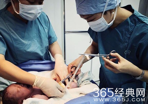 蒋勤勤曝光产子细节照