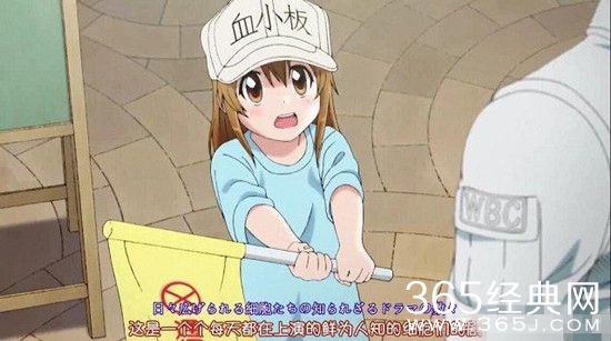 最近很火的血小板梗，出自一部神奇的动漫~