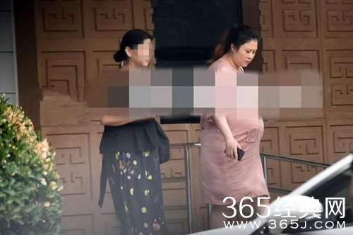 沈腾老婆孕肚大如箩 疑似双胞胎