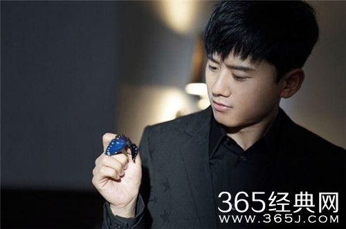 张杰上海演唱会取消