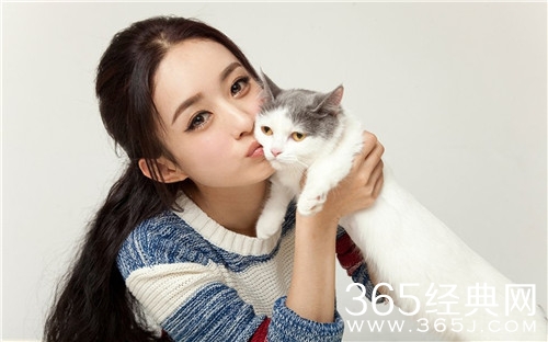 赵丽颖自曝停工原因 高强度工作导致身体抱恙