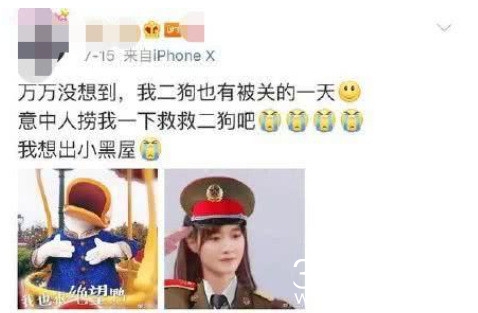 杨超越疑回应粉丝互撕 称和意涵永远是好朋友