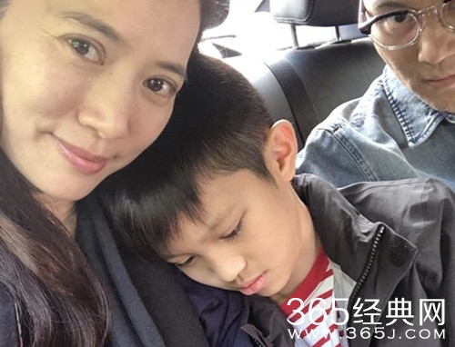 袁咏仪公审张智霖 因张智霖老犯这样的错误