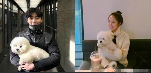 曝朴敏英朴叙俊将结婚 曾被曝密恋3年
