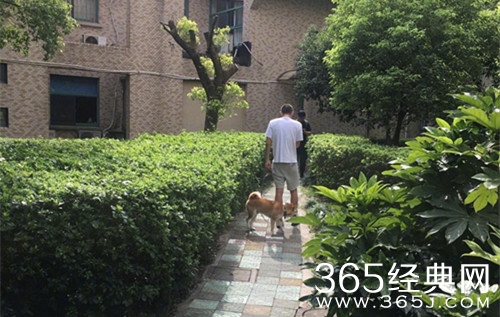 纪凌尘分手风波后首次现身 状态有些颓废