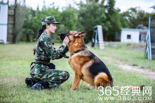 张馨予宣布与何捷结婚 两人因这档节目结缘