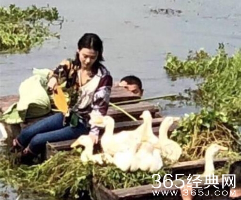 马思纯给鸭子扇风是什么梗_马思纯给鸭子扇风是什么意思