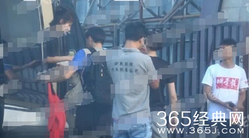 杨紫探班秦俊杰 这个动作让网友直呼不敢看