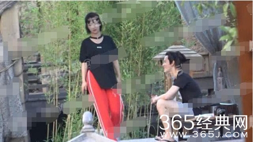 杨紫探班秦俊杰 这个动作让网友直呼不敢看