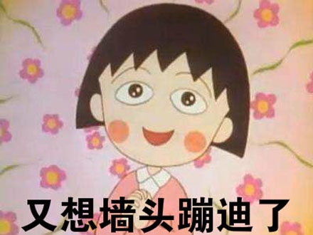 墙头蹦迪，说的就是花心追星的小伙伴们