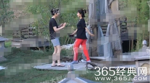 杨紫探班秦俊杰 这个动作让网友直呼不敢看