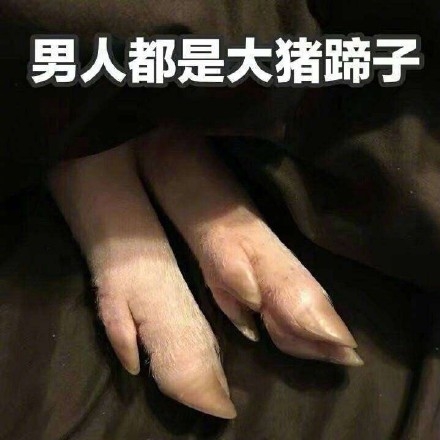 男人都是大猪蹄子，形容钢铁直男最贴切了