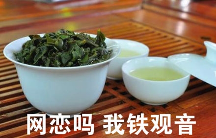 网恋吗我铁观音，操着萝莉音的女怪兽