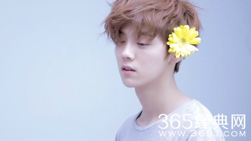 鹿晗退出节目录制 疑似因陪关晓彤耽误节目进度