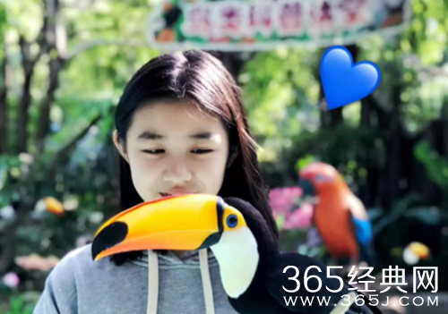 汪峰大女儿汪曼熙资料介绍 一个十分可爱的女孩