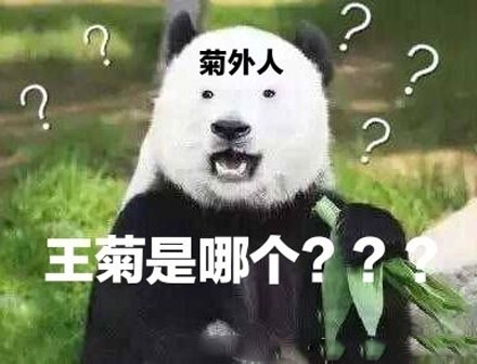 菊外人这个梗，充分证明王菊粉丝的强大性