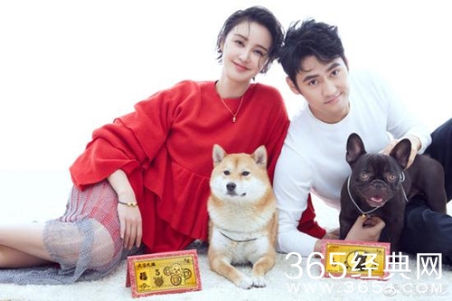 张歆艺晒宝宝B超照宣布怀孕 袁弘最好的生日礼物