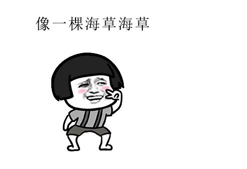 海草海草，这个从神曲中出来的梗