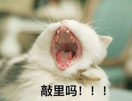 俏丽吗这个梗，原来是草泥马的卖萌说法