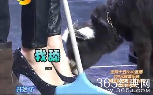 观海策向杨幂道歉 台词暗讽杨幂脚臭 刘恺威曾这样回应