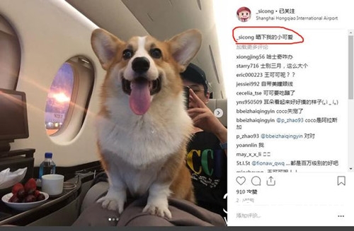 王思聪新女友疑似曝光 不再是网红 而是名演员