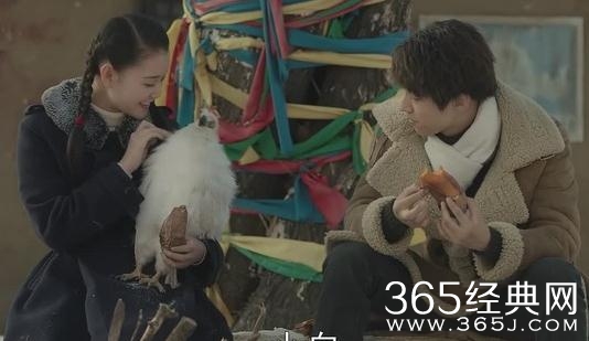 天坑鹰猎白鹰和万金之国是什么关系