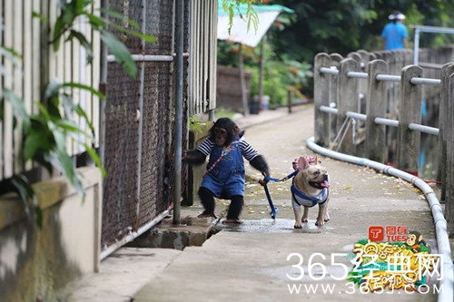 神奇伙伴在哪里定档9月9日 带领大家进入一个奇妙世界