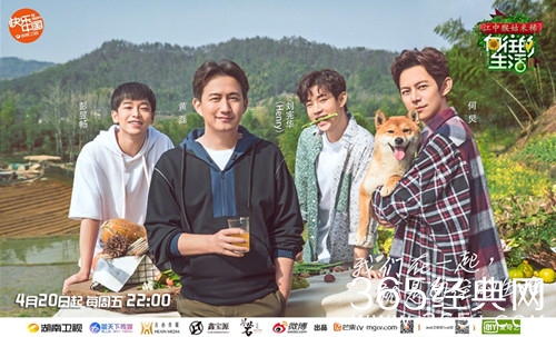 黄磊帮小H狗崽征名 网友回复亮了 承包一个星期笑点