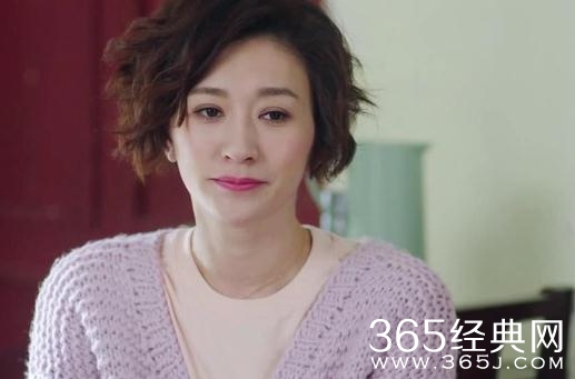 月嫂先生第39-40集预告沈心唯被路凯诬陷