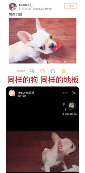 乐华方否认朱正廷女友传闻 称这些均为捏造