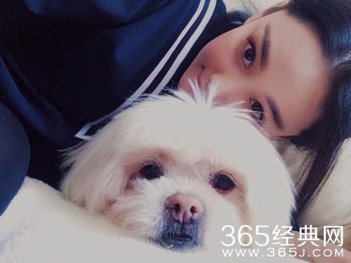 张馨予发文悼念去世爱犬 坦言不知如何面对失去它后的日子