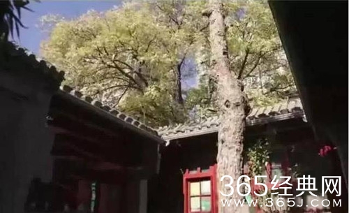 李晨北京四合院曝光 价值或超9亿