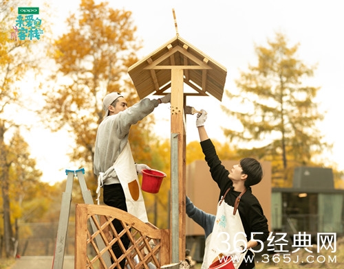 亲爱的客栈2王鹤棣马思超加盟 两人的关系大揭秘