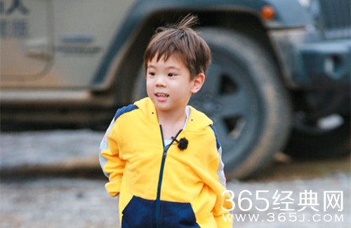 杜宇麒个人资料介绍 参加亲子真人秀节目受到关注